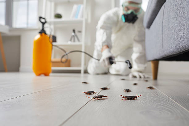 Trusted Bed Bug Control service in Yardville, NJ - Nex Pest Control