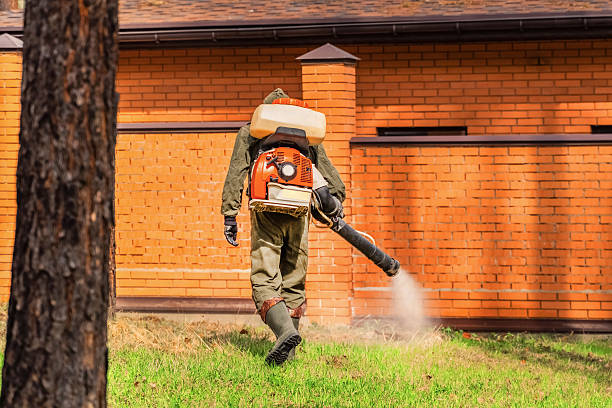 Trusted Mosquito Control service in Yardville, NJ - Nex Pest Control